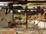 2005_1_Dcao0240.html