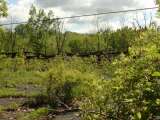 2005_2_Dcao0080.html