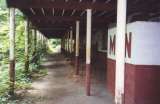 chiplake0017.html