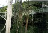 chipp035.html