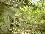 2005_1_Dcao0221.html