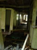 2005_1_Dcao0225.html