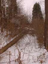 Chippewa_Lake_Win_2005-54.html