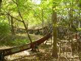 chippewa_lake_fall_07-115.html