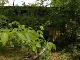 2005_1_Dcao0237.html