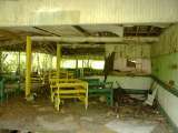 2005_2_Dcao0066.html