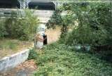 chipp023.html