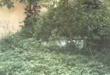 chipp024.html