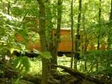 2005_1_Dcao0109.html