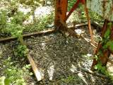 2005_1_Dcao0034.html