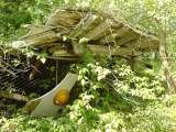 2005_1_Dcao0038.html