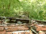 2005_1_Dcao0039.html