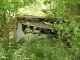 2005_1_Dcao0041.html