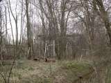 chippewa_demo_2009-010.html