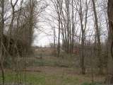 chippewa_demo_2009-012.html