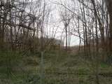 chippewa_demo_2009-015.html