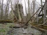 chippewa_demo_2009-018.html
