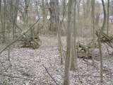chippewa_demo_2009-020.html
