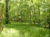 2005_1_Dcao0059.html