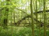 2005_1_Dcao0060.html