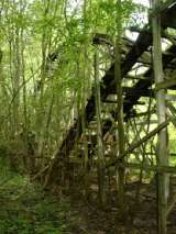 2005_1_Dcao0061.html