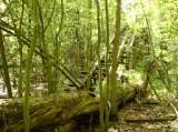 2005_1_Dcao0062.html