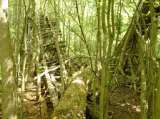 2005_1_Dcao0063.html
