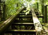 2005_1_Dcao0065.html