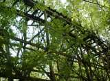 2005_1_Dcao0066.html