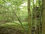 2005_1_Dcao0069.html