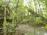 2005_1_Dcao0070.html