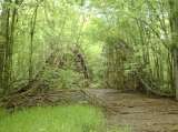 2005_1_Dcao0072.html