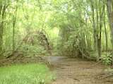 2005_1_Dcao0074.html