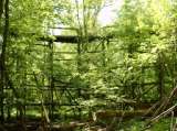 2005_1_Dcao0075.html