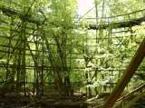 2005_1_Dcao0076.html