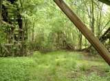 2005_1_Dcao0077.html