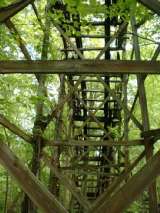 2005_1_Dcao0078.html