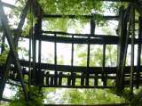 2005_1_Dcao0079.html