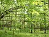 2005_1_Dcao0080.html