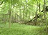2005_1_Dcao0081.html