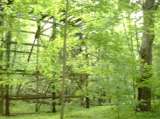 2005_1_Dcao0082.html