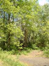 2005_1_Dcao0002.html