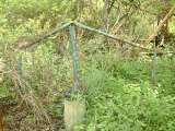 2005_1_Dcao0010.html