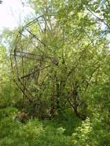 2005_1_Dcao0011.html