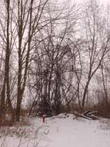 Chippewa_Lake_Winter_2005-8.html