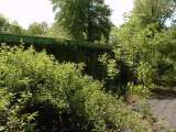 2005_2_Dcao0046.html