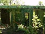 2005_2_Dcao0048.html
