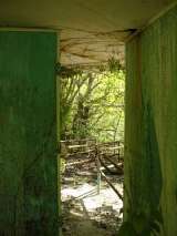 2005_2_Dcao0052.html