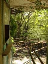 2005_2_Dcao0054.html