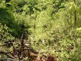 2005_2_Dcao0076.html